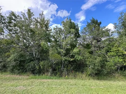 Sheldon Street Orlando FL 32833