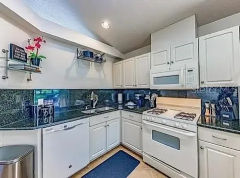 5861 Wrenwater Drive Lithia FL 33547