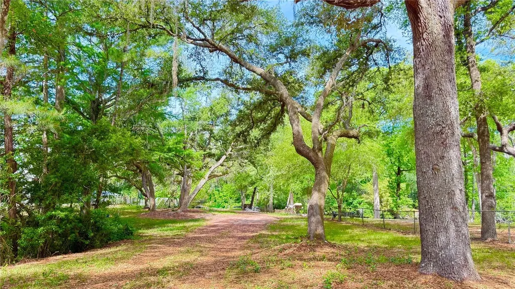 2905 Creek Street Middleburg FL 32068