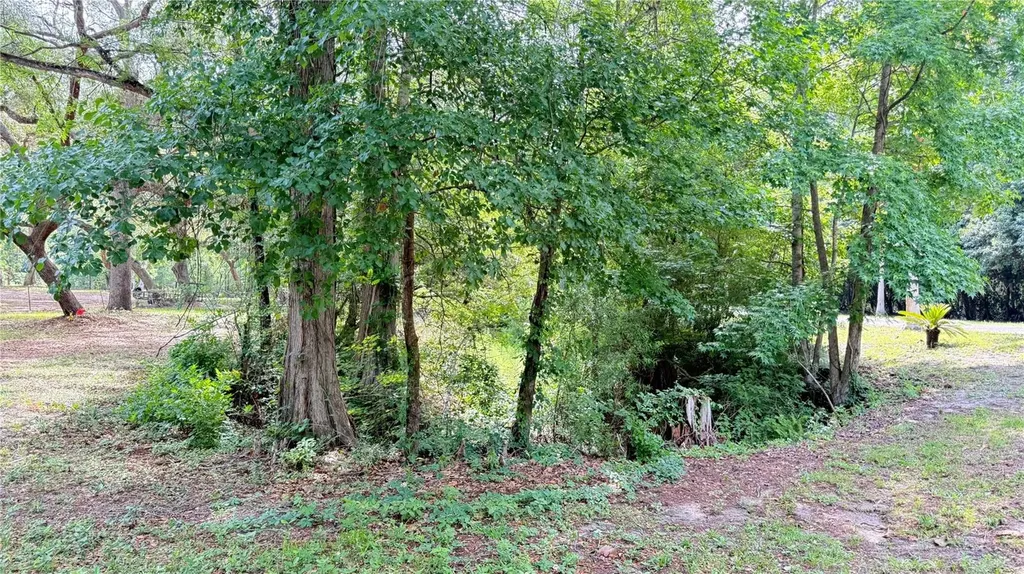 2905 Creek Street Middleburg FL 32068
