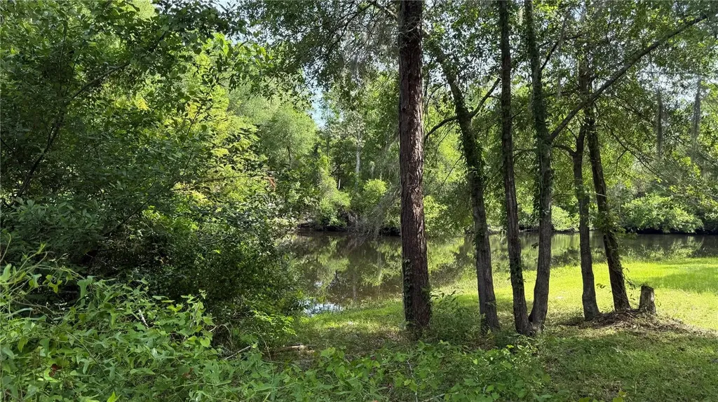 2905 Creek Street Middleburg FL 32068