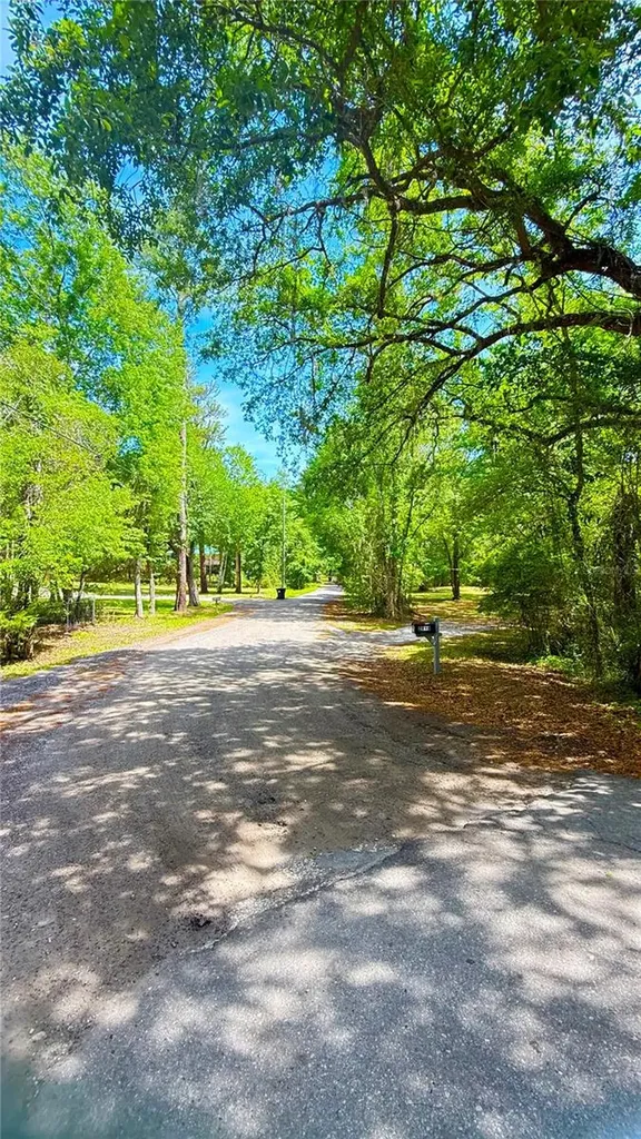 2905 Creek Street Middleburg FL 32068
