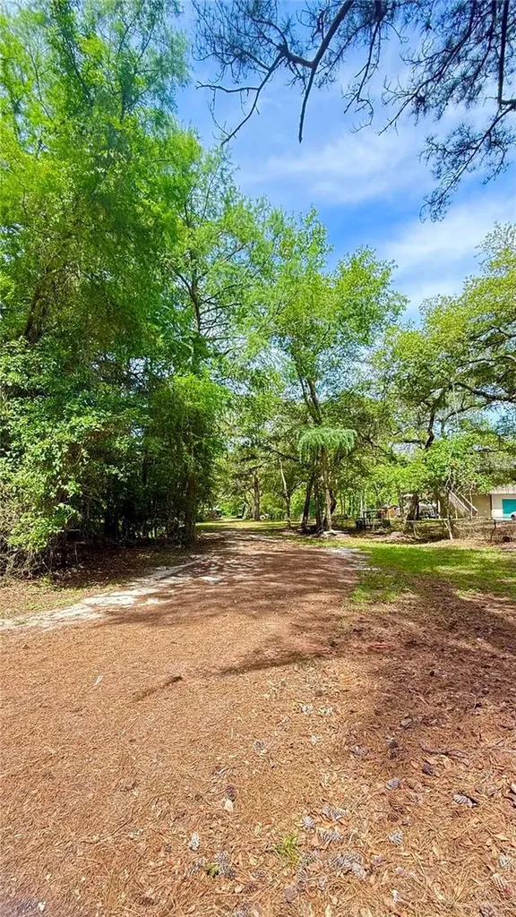 2905 Creek Street Middleburg FL 32068