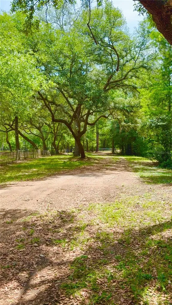 2905 Creek Street Middleburg FL 32068