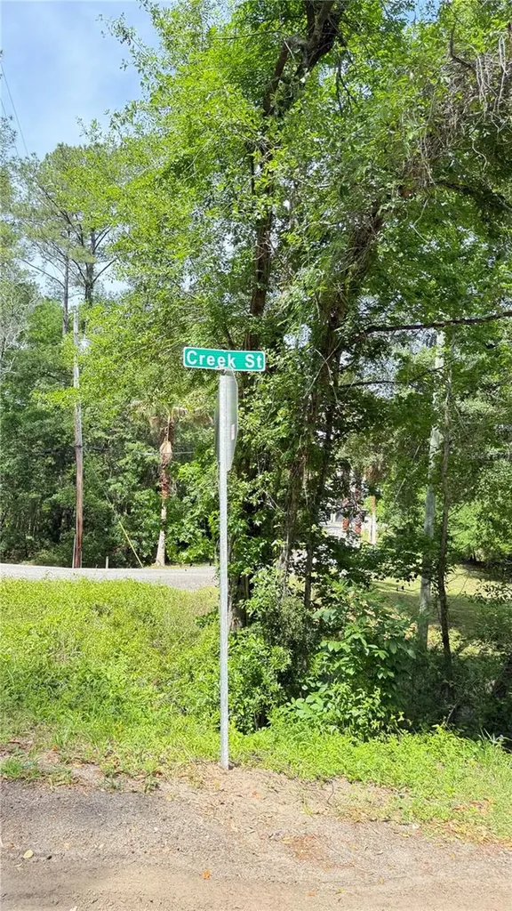 2905 Creek Street Middleburg FL 32068