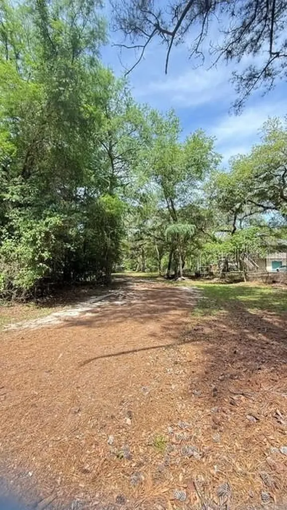 2905 Creek Street Middleburg FL 32068
