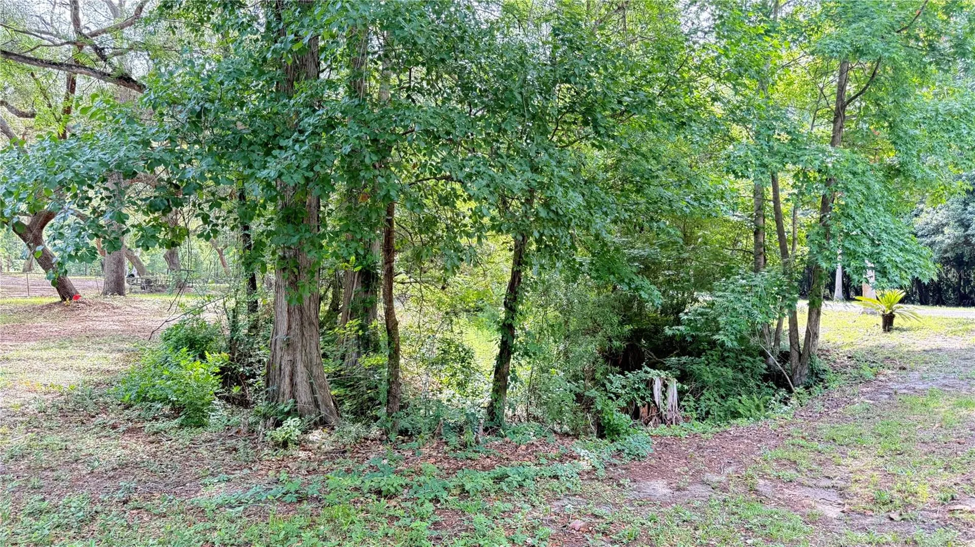 2905 Creek Street Middleburg FL 32068