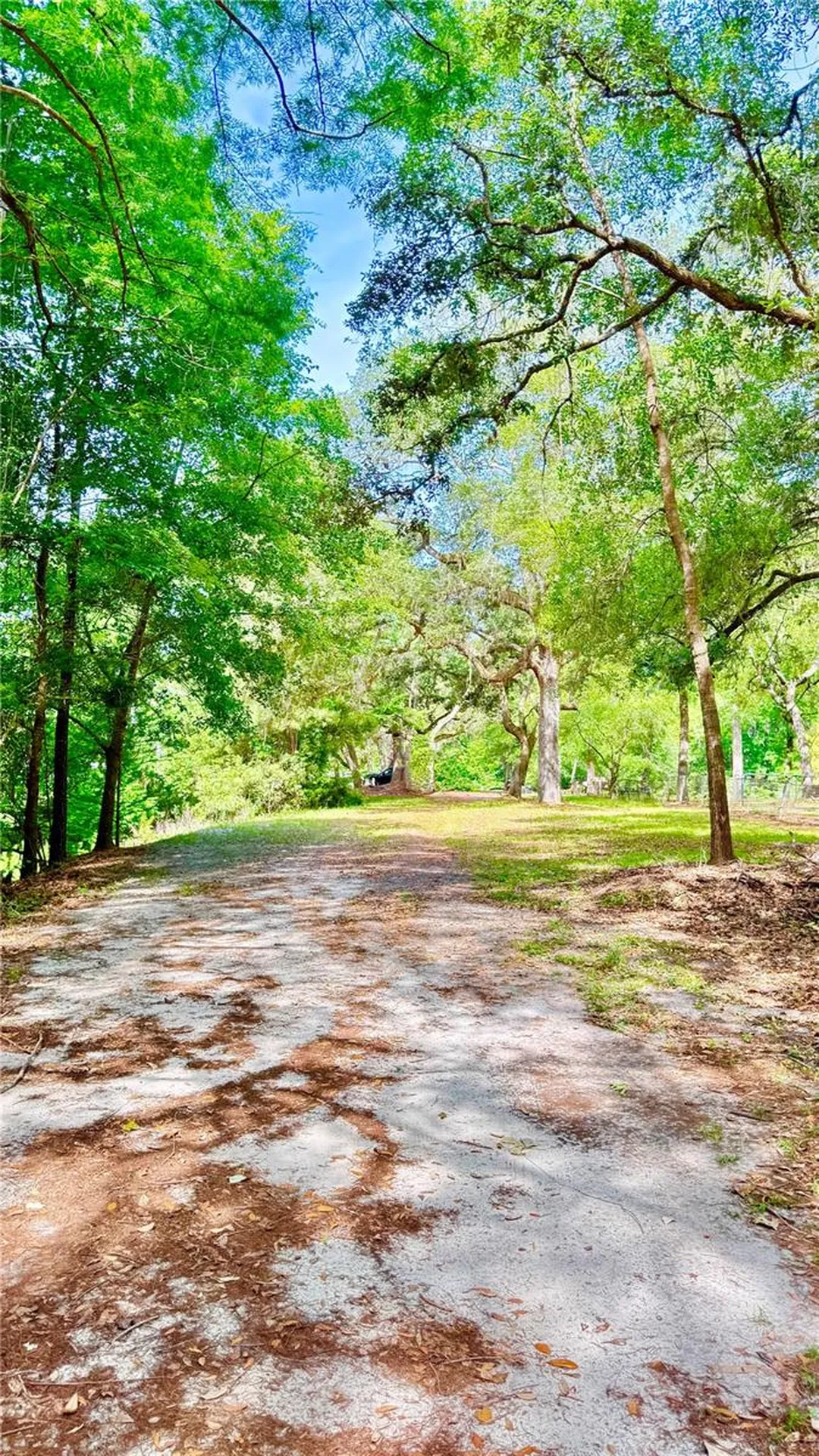 2905 Creek Street Middleburg FL 32068