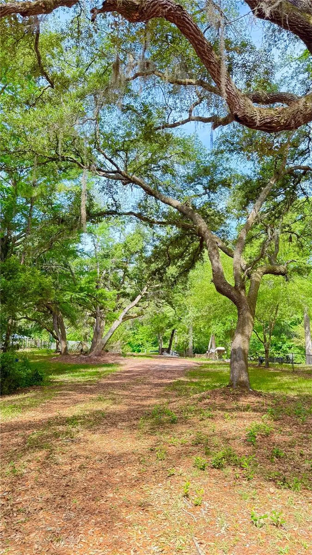 2905 Creek Street Middleburg FL 32068
