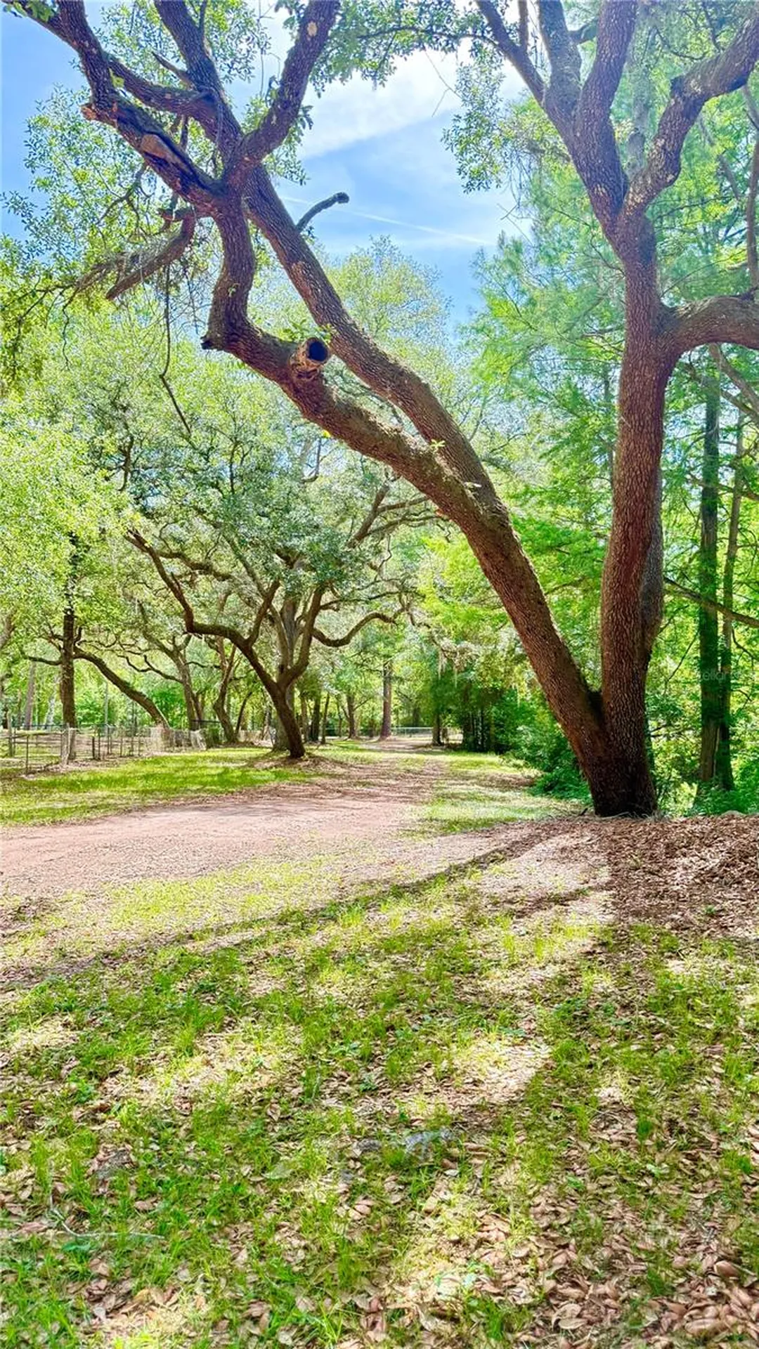 2905 Creek Street Middleburg FL 32068