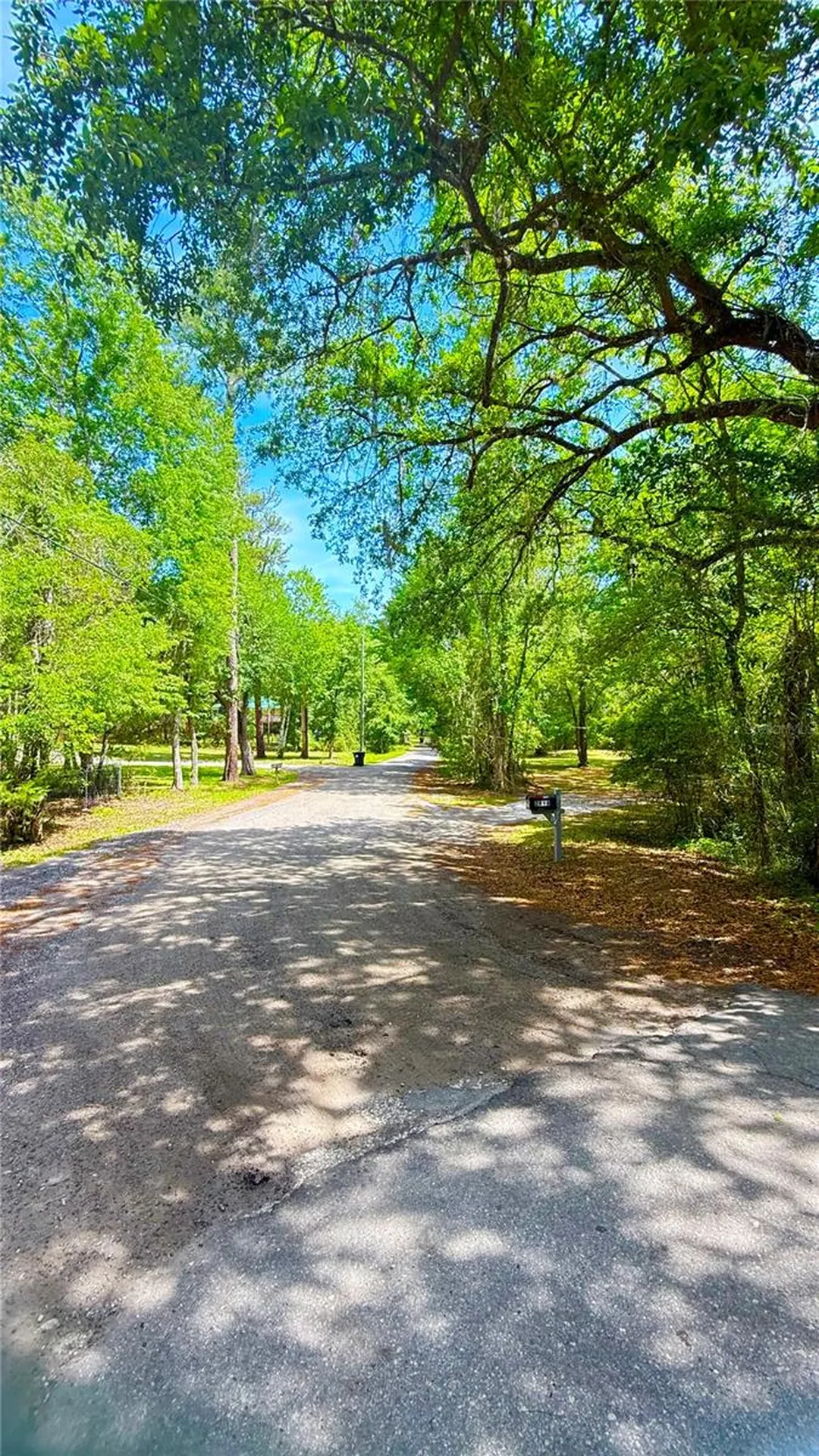 2905 Creek Street Middleburg FL 32068