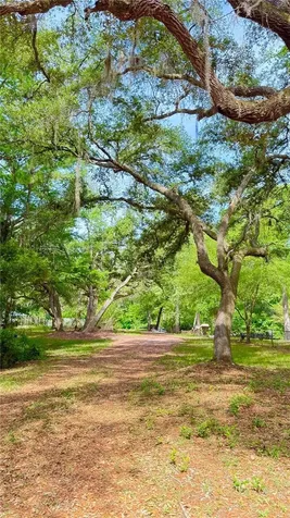 2905 Creek Street Middleburg FL 32068