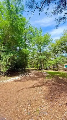 2905 Creek Street Middleburg FL 32068