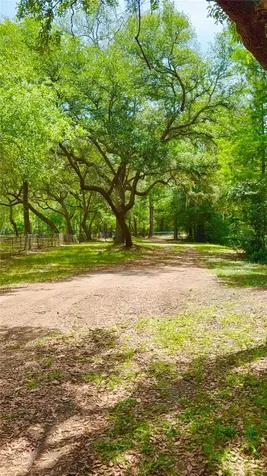 2905 Creek Street Middleburg FL 32068