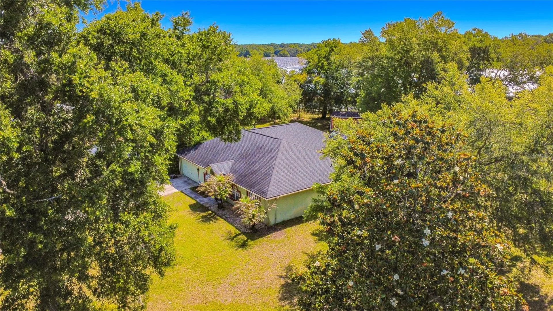 7400 Lake Marni Court Mount Dora FL 32757