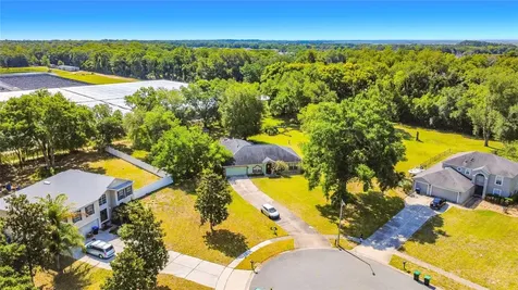 7400 Lake Marni Court Mount Dora FL 32757