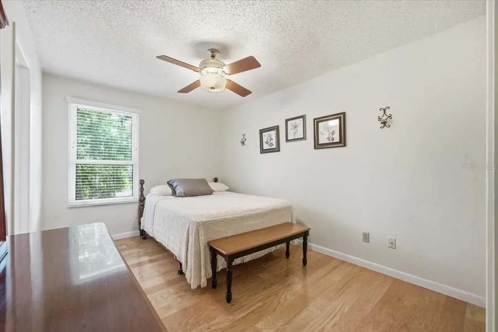 2804 Palamore Drive Tampa FL 33618