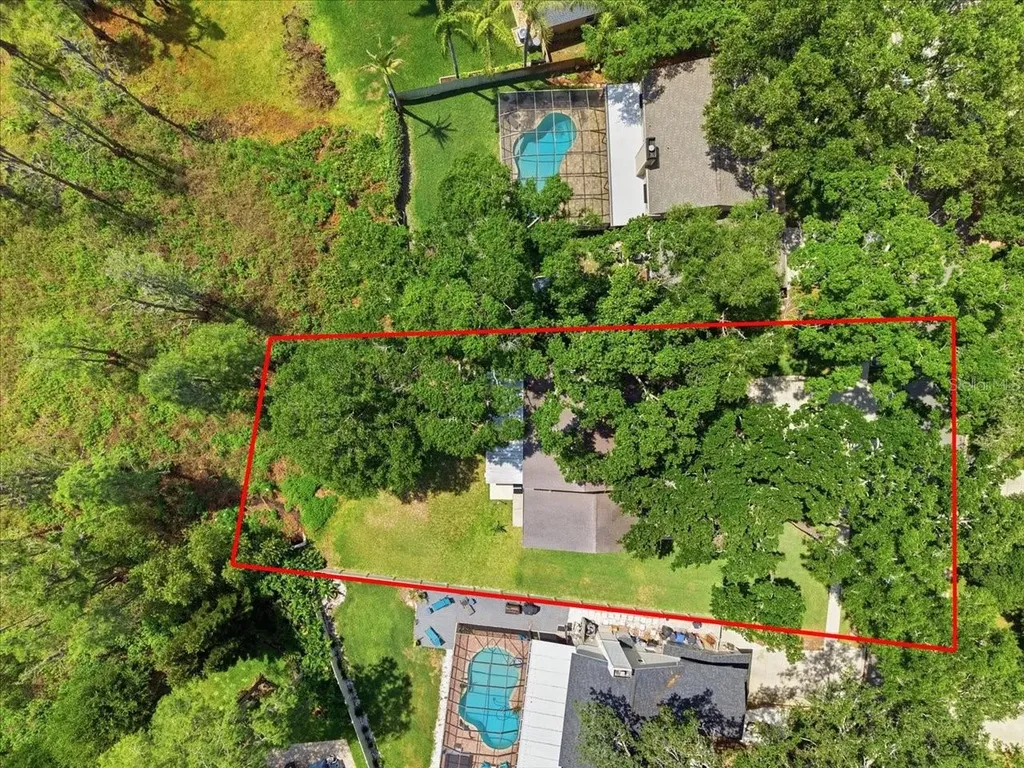 2804 Palamore Drive Tampa FL 33618
