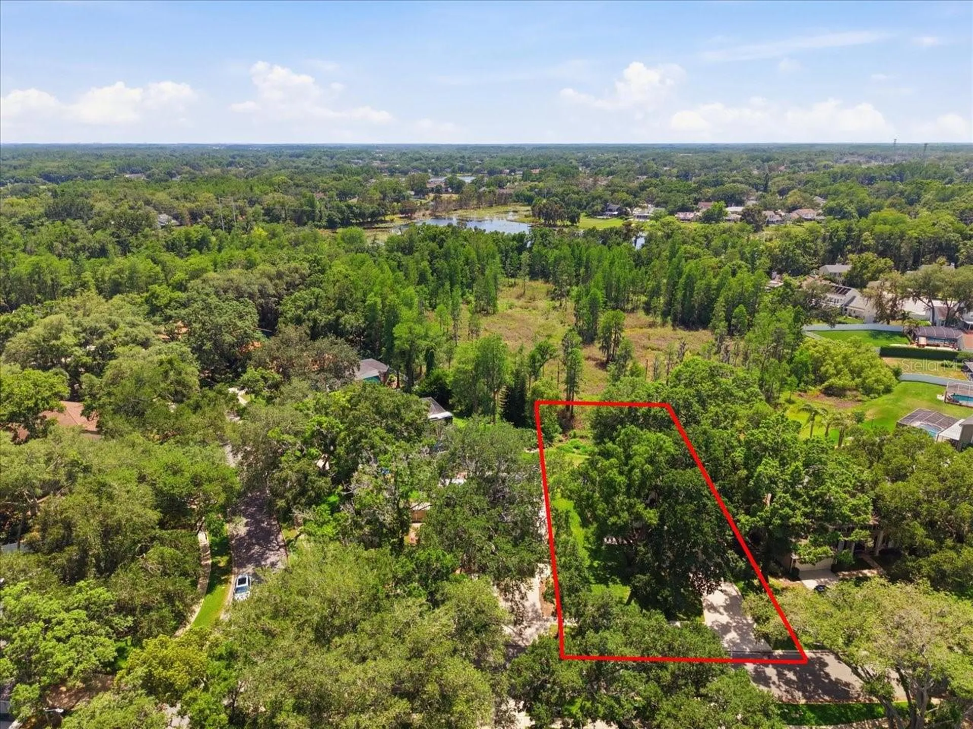 2804 Palamore Drive Tampa FL 33618