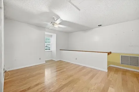 2804 Palamore Drive Tampa FL 33618