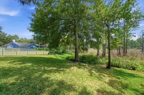 2804 Palamore Drive Tampa FL 33618