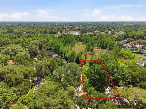2804 Palamore Drive Tampa FL 33618