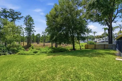 2804 Palamore Drive Tampa FL 33618