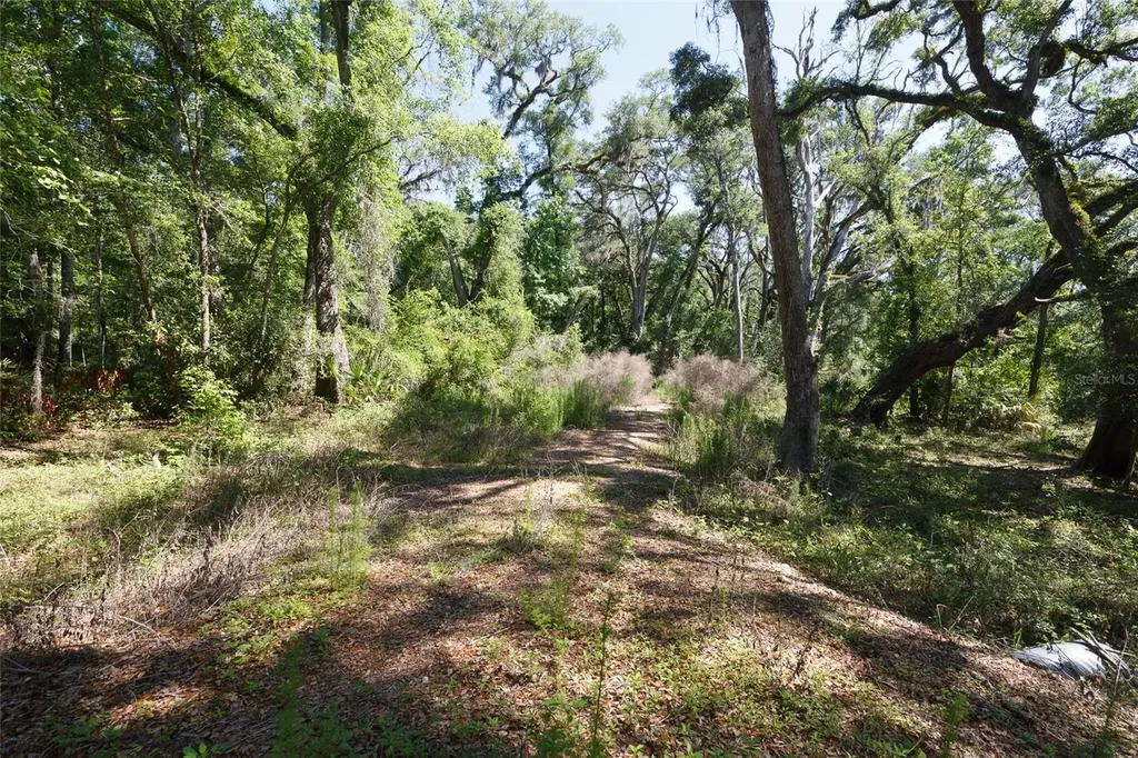 200 NE 364th Avenue Old Town FL 32680