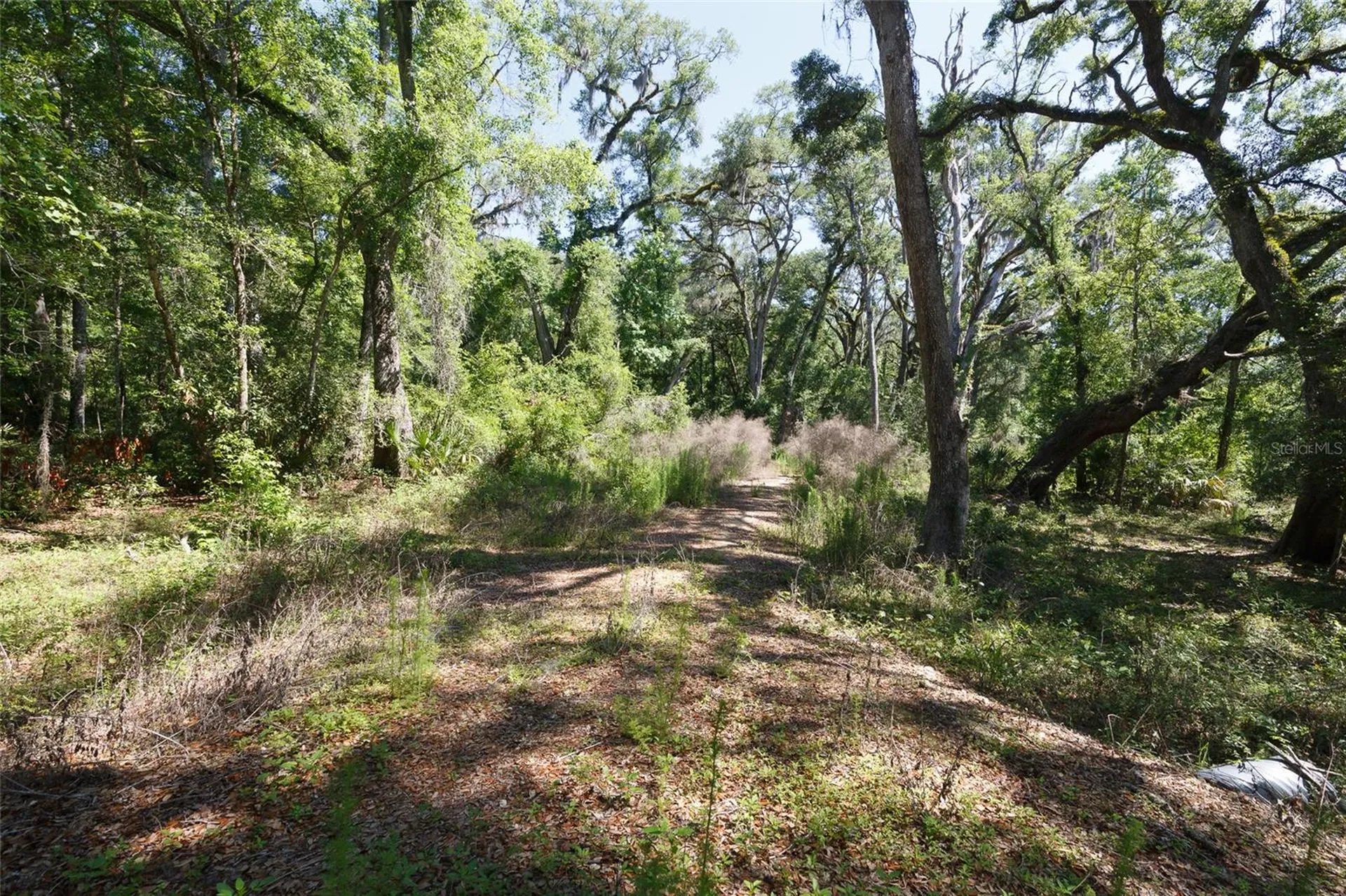 200 NE 364th Avenue Old Town FL 32680