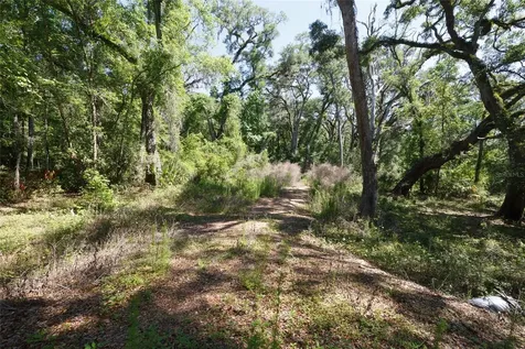200 NE 364th Avenue Old Town FL 32680