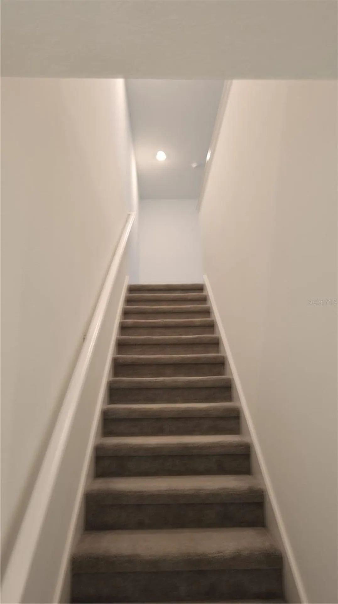 22170 Nebula Way Land O Lakes FL 34637