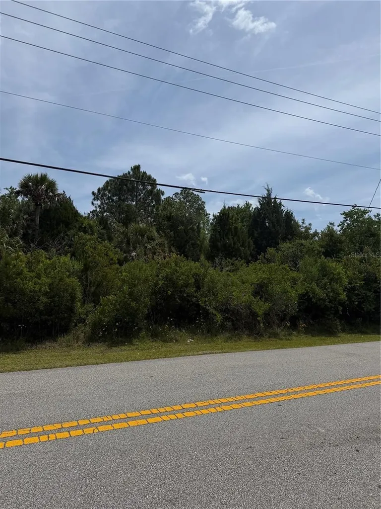 174 Bird Of Paradise Drive Palm Coast FL 32137
