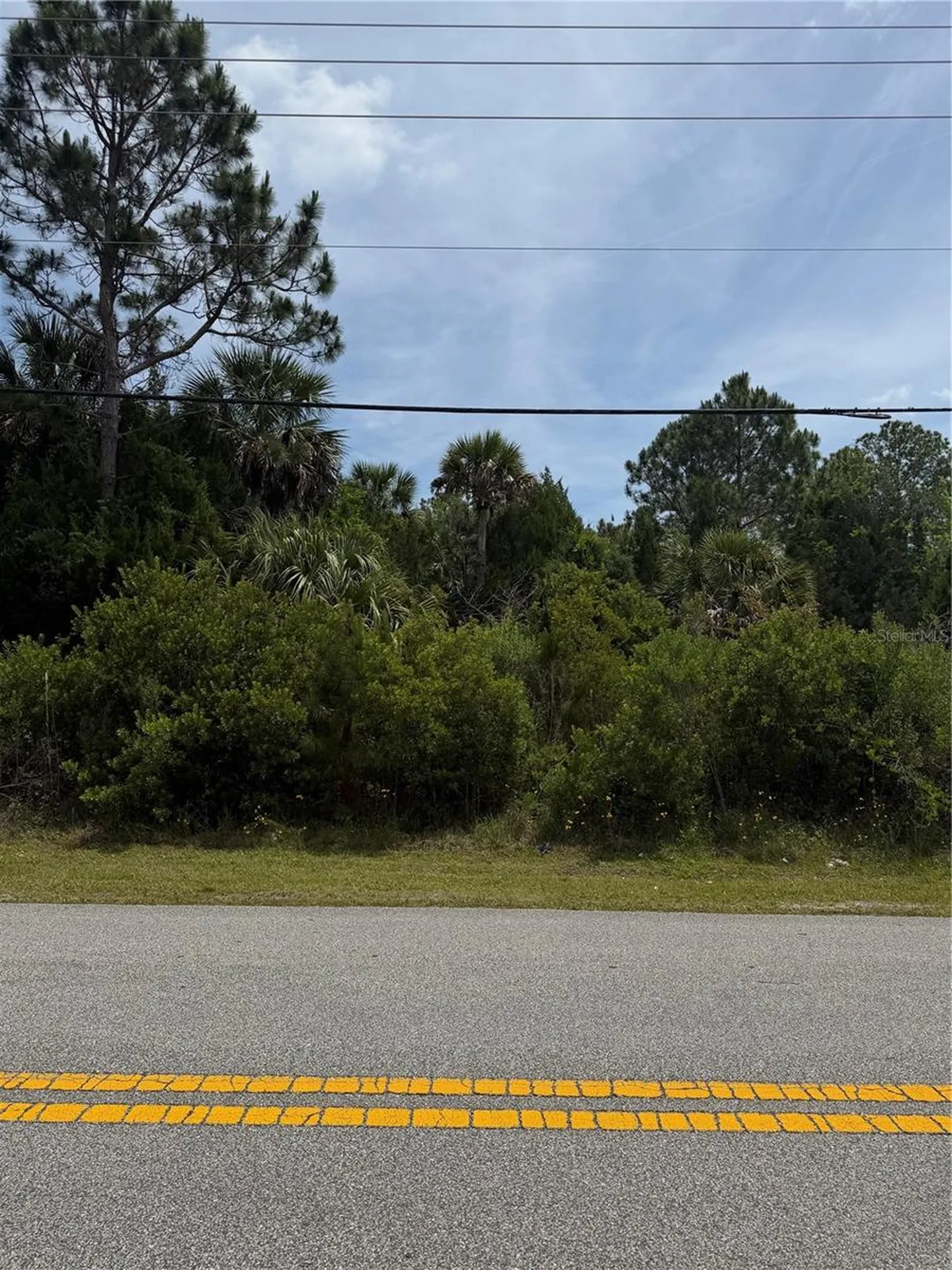 174 Bird Of Paradise Drive Palm Coast FL 32137