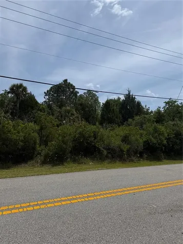 174 Bird Of Paradise Drive Palm Coast FL 32137