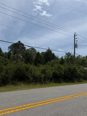 174 Bird Of Paradise Drive Palm Coast FL 32137