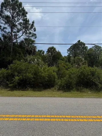 174 Bird Of Paradise Drive Palm Coast FL 32137