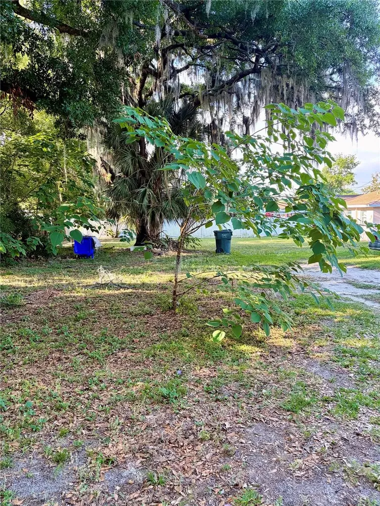 1203 N Brunnell Parkway Lakeland FL 33805