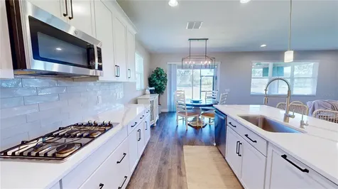 10802 Rolling Moss Road Tampa FL 33647