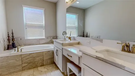 10802 Rolling Moss Road Tampa FL 33647