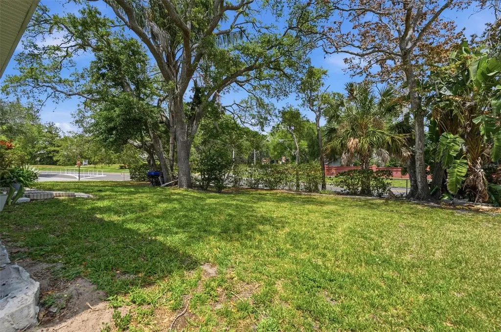 351 Ixora Drive Palm Harbor FL 34684