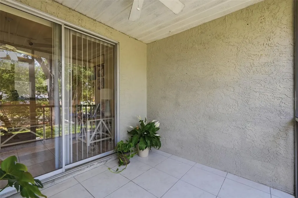 351 Ixora Drive Palm Harbor FL 34684