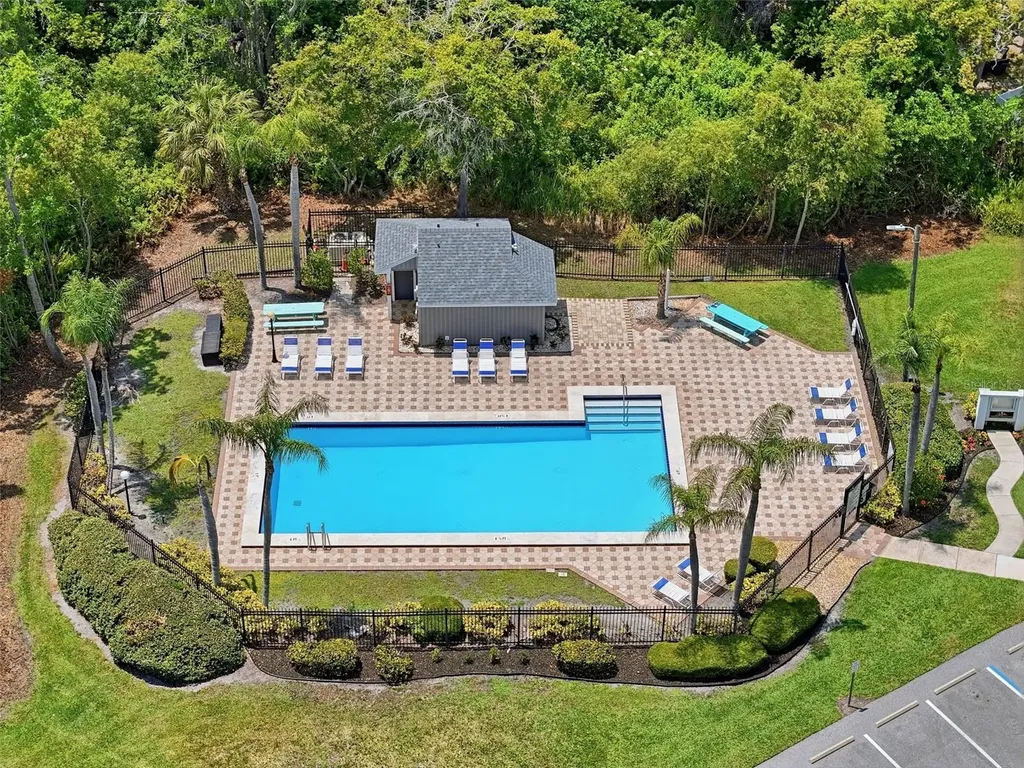 351 Ixora Drive Palm Harbor FL 34684