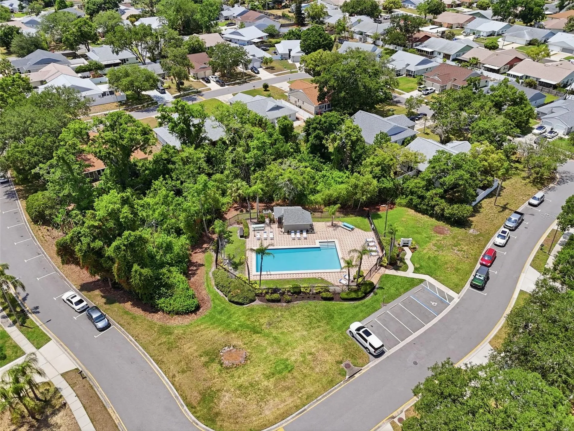 351 Ixora Drive Palm Harbor FL 34684