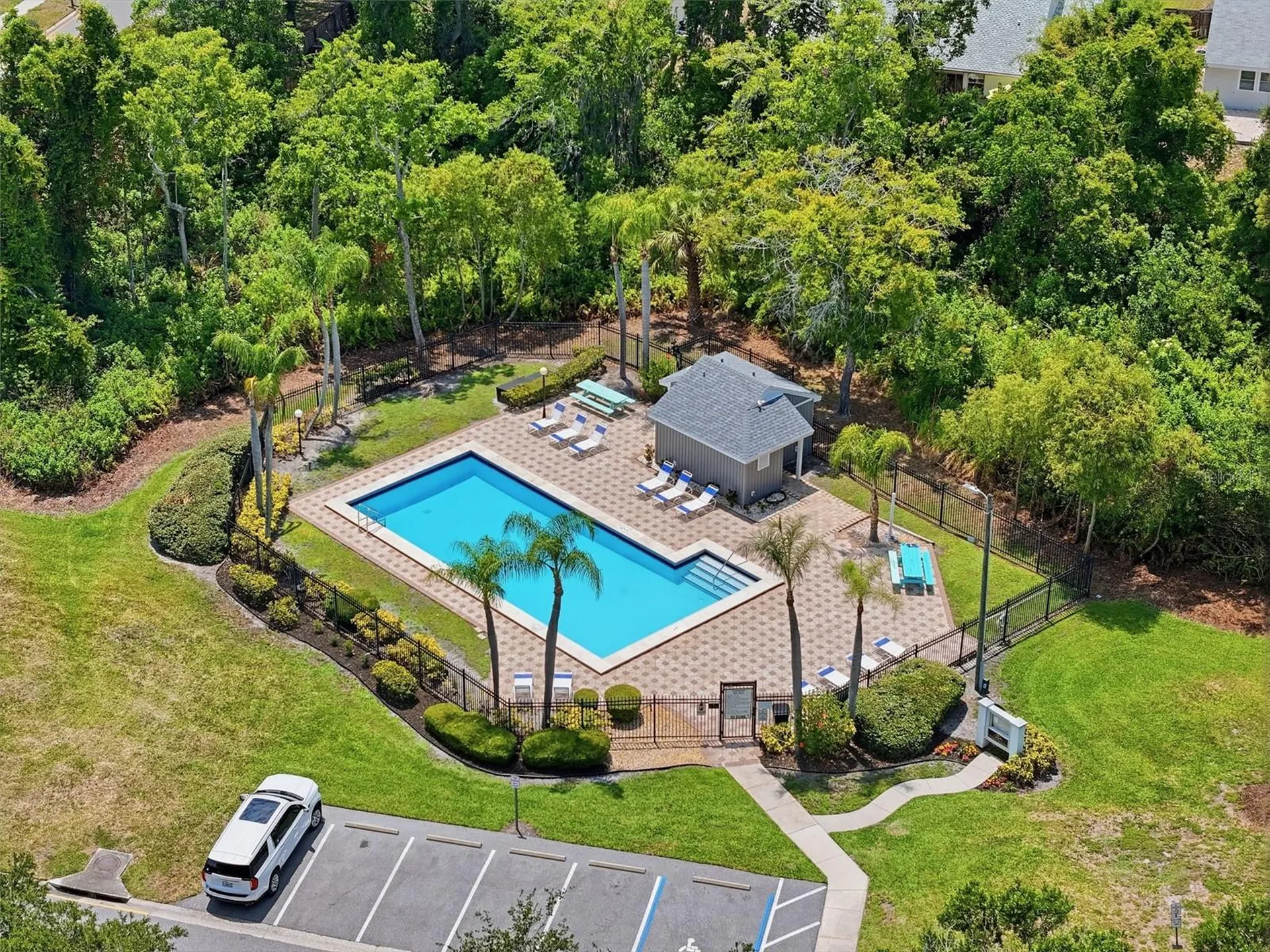 351 Ixora Drive Palm Harbor FL 34684