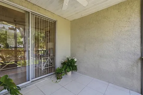 351 Ixora Drive Palm Harbor FL 34684