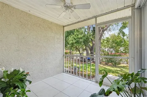 351 Ixora Drive Palm Harbor FL 34684
