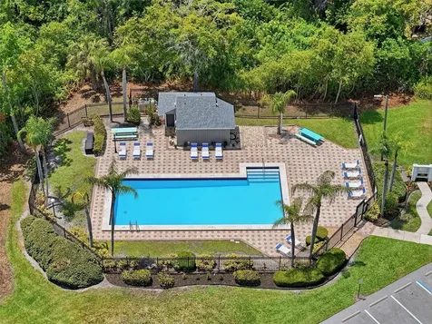 351 Ixora Drive Palm Harbor FL 34684