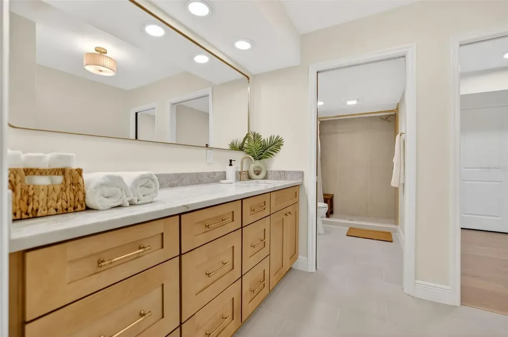 4404 Carrollwood Village Drive Tampa FL 33618