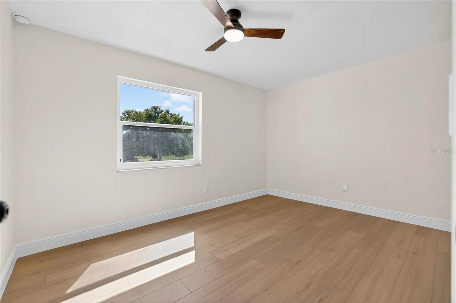4404 Carrollwood Village Drive Tampa FL 33618