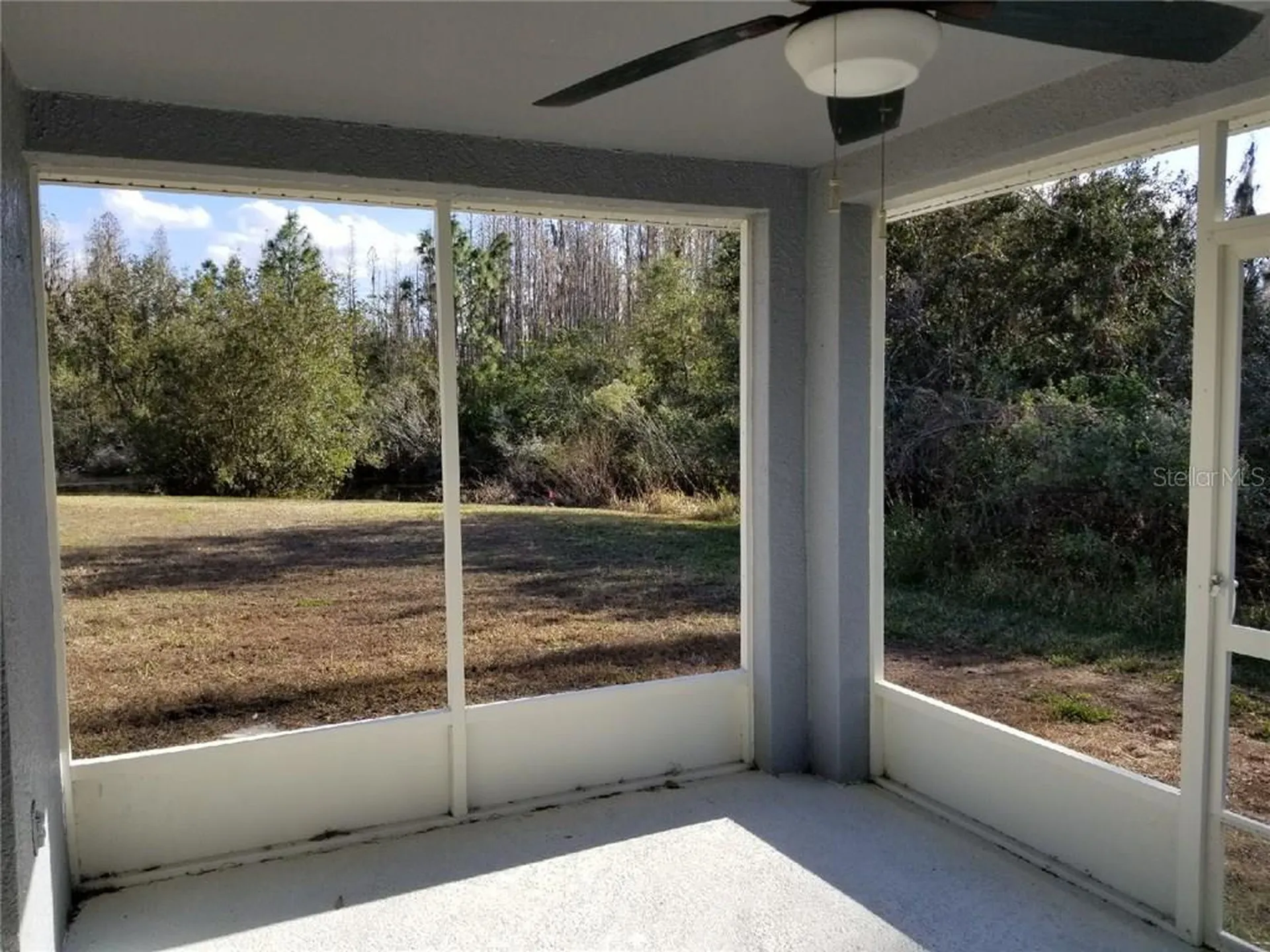 1424 Wylie Court Wesley Chapel FL 33543